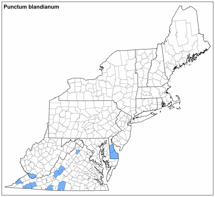 Punctum blandianum Range Map
